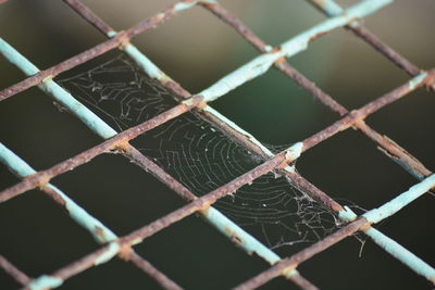 Full frame shot of chainlink fence