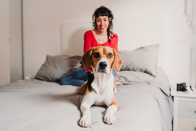 Portrait of dog sitting on sofa at home