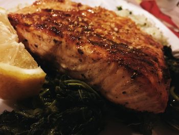 Close-up of food served in plate