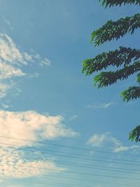 Low angle view of tree against sky