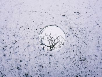 Close-up of frozen glass on field