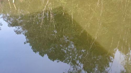 Reflection of tree in lake against sky