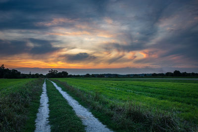 Dirt road through a green field, horizon and clouds after sunset