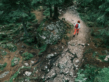 Woman hiking in rocky mountain forest