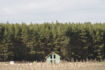 Trees and plants growing on field by house in forest against sky