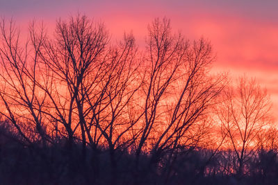 Silhouette of trees against sky at sunset