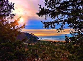 Scenic view of sunset over sea