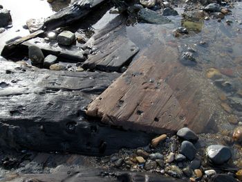 High angle view of rocks at beach