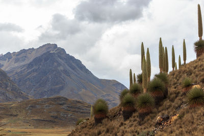 Scenic view of dramatic landscape against sky