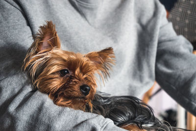 Close-up of dog sticking out tongue