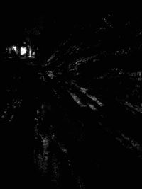 Illuminated tree against sky at night