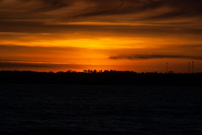 Silhouette of trees during sunset