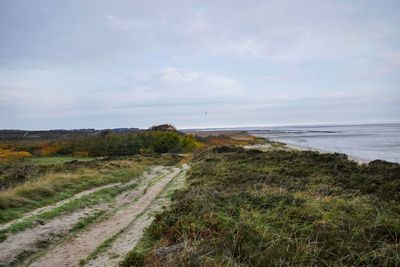 Scenic view of beach against sky