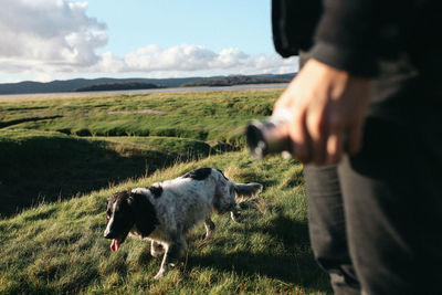 Midsection of man with camera standing by dog on grassy field