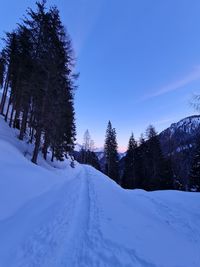 Snow covered road amidst trees against sky