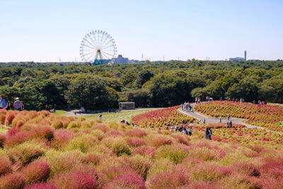 Scenic view of agricultural field