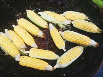Close-up of food corn for sale in market