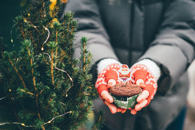 Midsection of person holding christmas tree