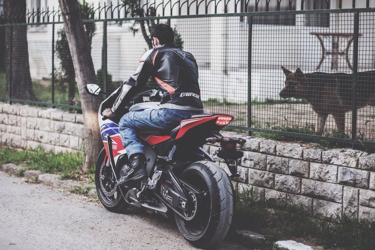 bicycle, land vehicle, transportation, men, mode of transport, building exterior, street, full length, day, side view, fence, built structure, outdoors, domestic animals, architecture, lifestyles, protection, riding