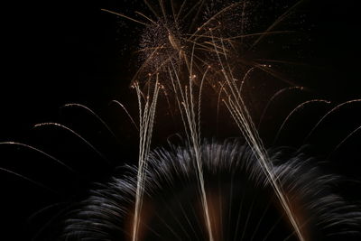 Low angle view of firework display at night