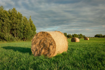 Big hay bale on a green meadow, trees and clouds on the sky.