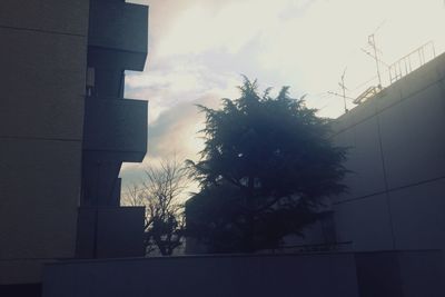 Low angle view of building against sky