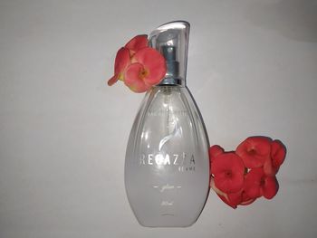 Close-up of red berries on table against white background