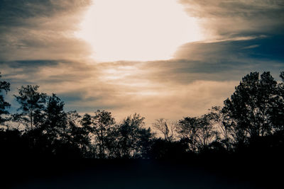 Low angle view of silhouette trees against sky during sunset