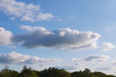 Low angle view of trees against sky