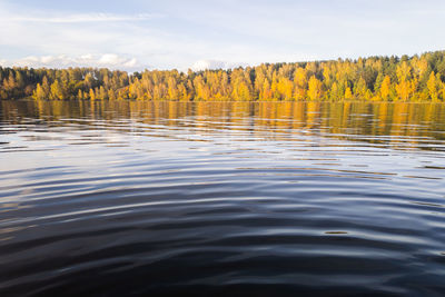 Beautiful landscape from the water. the water surface of the lake