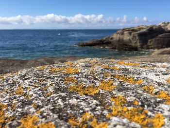 Rocks on beach against sky