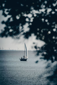 Sailboat sailing on sea against sky