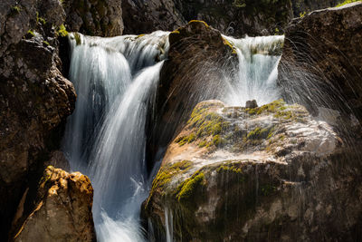 Scenic view of waterfall in forest