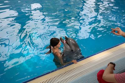 Woman swimming with dolphin in pool