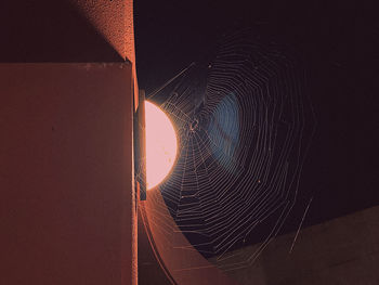Close-up of spider web against wall