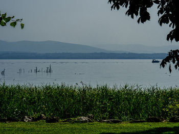 Scenic view of lake against clear sky