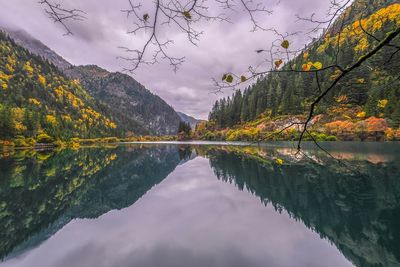 Scenic view of lake by trees against sky