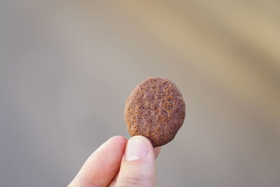 Close-up of hand holding ice cream