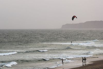 Scenic view of sea against clear sky with kite surfing and body board at sunset