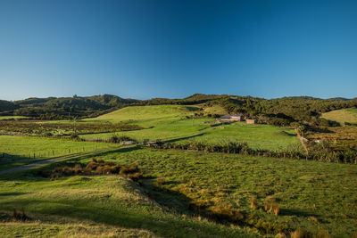 Scenic view of landscape against clear blue sky