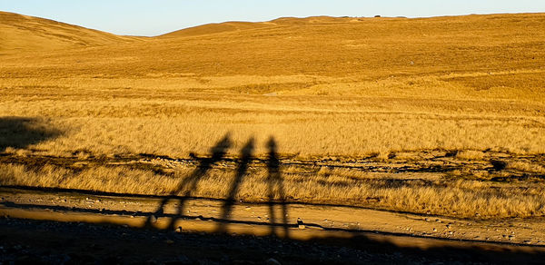 Shadow of people on desert