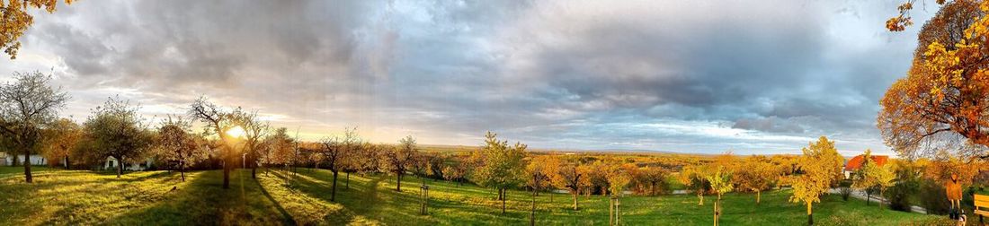 Panoramic view of agricultural field against sky