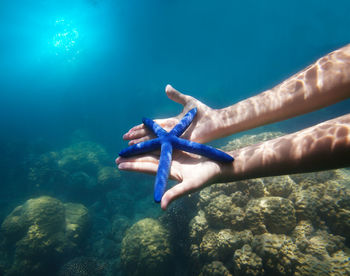 Person swimming in sea