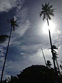 Low angle view of silhouette palm trees against sky during sunset