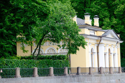 Trees and building exterior