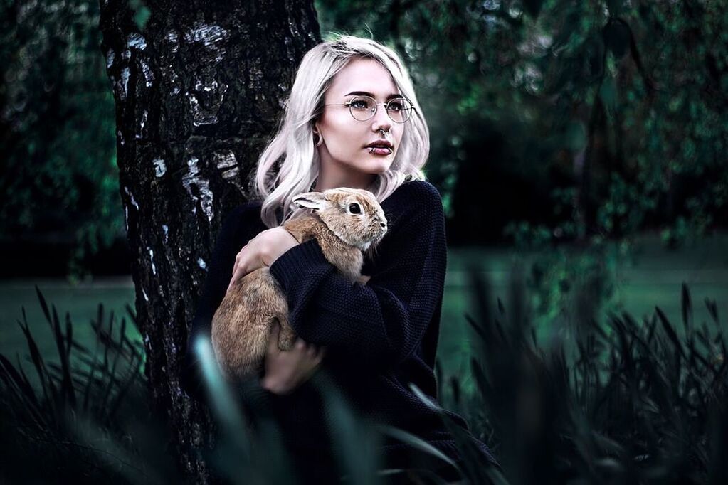 young adult, blond hair, tree, tree trunk, one animal, forest, one person, young women, outdoors, teddy bear, nature, day, animal themes, one young woman only, adult, people