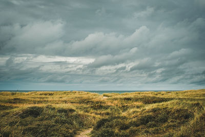 Scenic view of field against sky