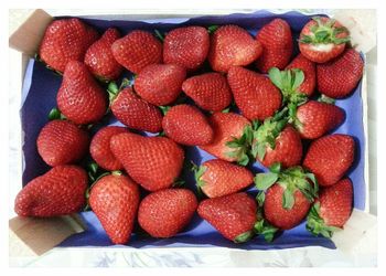 High angle view of strawberries