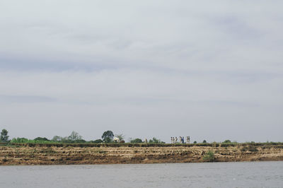 Scenic view of agricultural landscape against sky