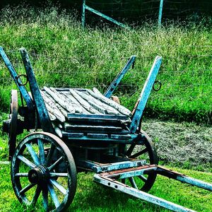 Train on grassy field